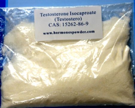 Steroid Powder Testosterone Isocaproate (Cas No.: 15262-86-9 5)